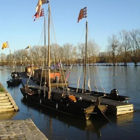 Appart Gite Les Oiseaux- Face Loire Quai Du Chatelet Orléans Extérieur photo